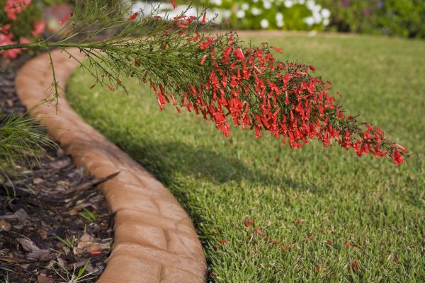Brick Edging in Bolingbrook