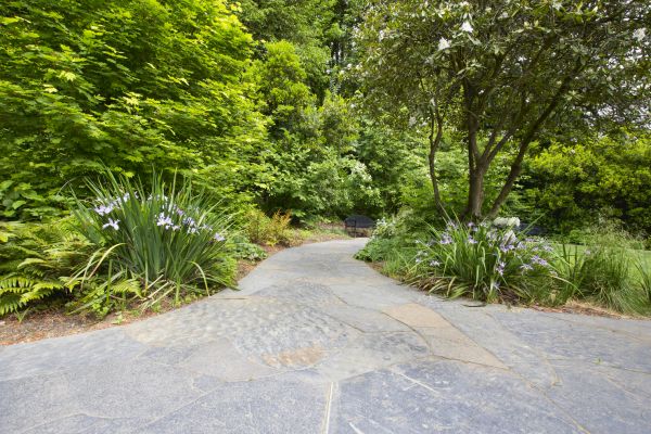 Stone Hardscape Service in Bolingbrook